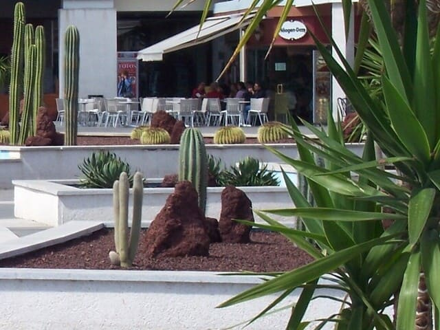 foto jardín xerojardinería en centro comercial meridiano